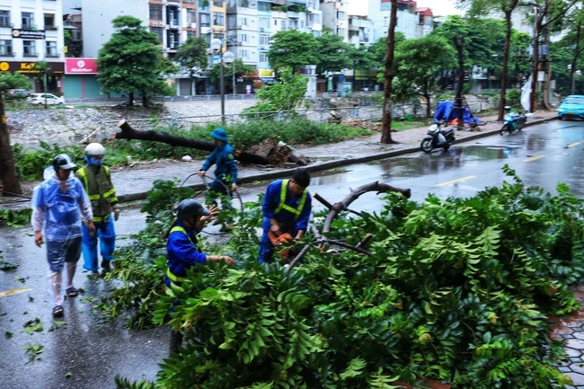 Đường phố Hà Nội ngổn ngang cây đổ do ảnh hưởng của bão số 3 - Ảnh 6.